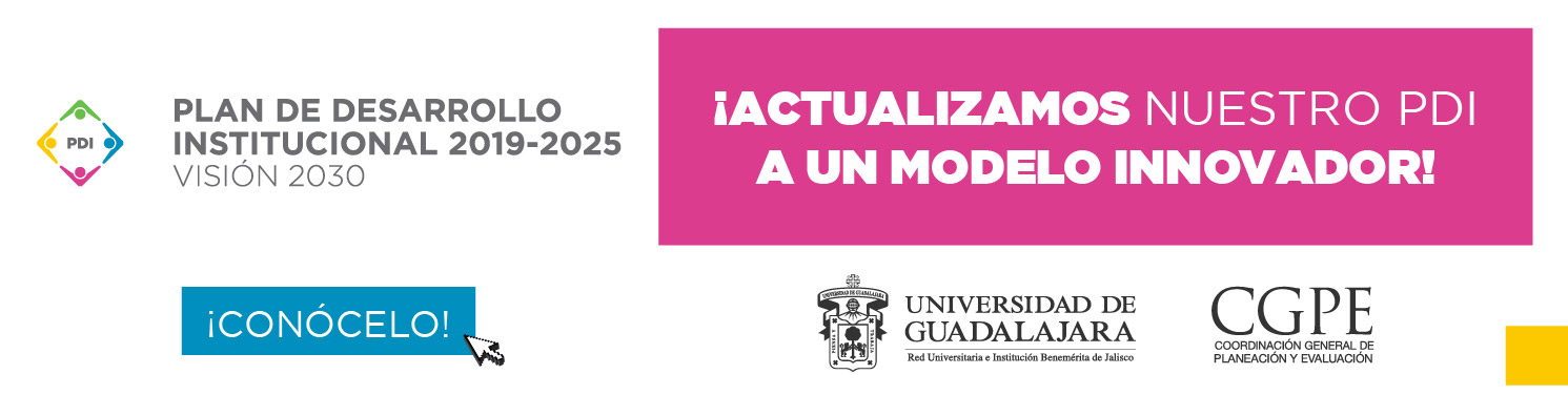 Plan de Desarrollo Institucional 2019-2025 Visió